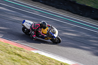 brands-hatch-photographs;brands-no-limits-trackday;cadwell-trackday-photographs;enduro-digital-images;event-digital-images;eventdigitalimages;no-limits-trackdays;peter-wileman-photography;racing-digital-images;trackday-digital-images;trackday-photos